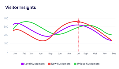 Visitor Insights Chart